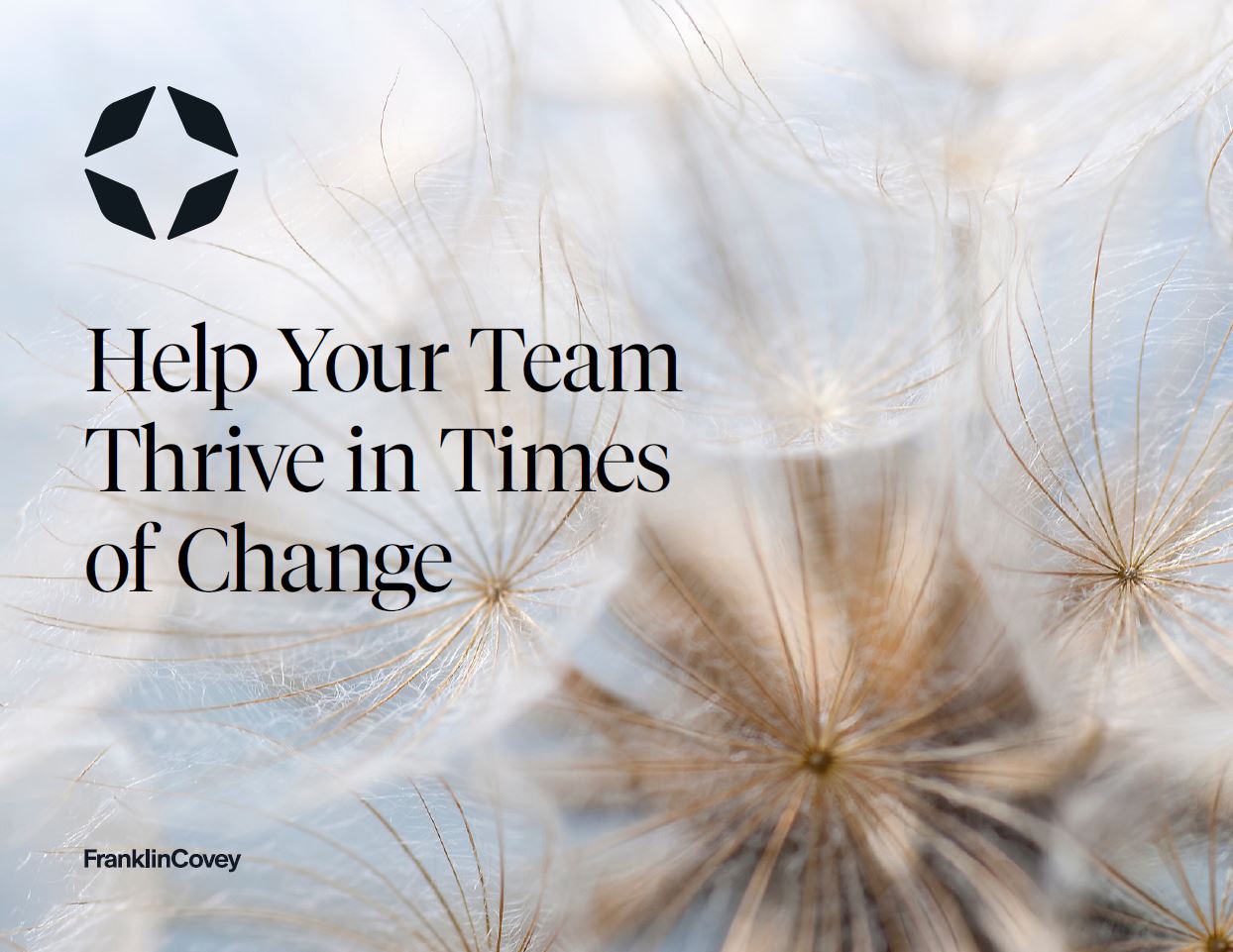 Thumbnail - Help Your Team Thrive in Times of Change.JPG
